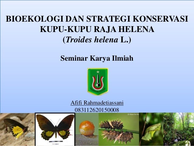 mengatur perdagangan opsi biner kupu-kupu strategi perdagangan