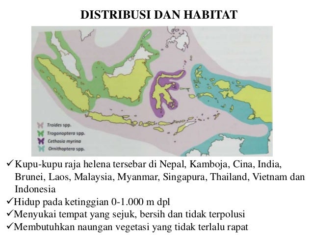 Memasangkan strategi perdagangan india