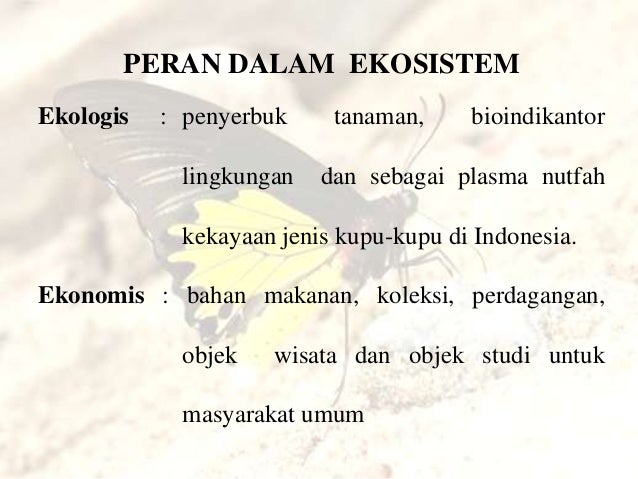 Memasangkan strategi perdagangan india