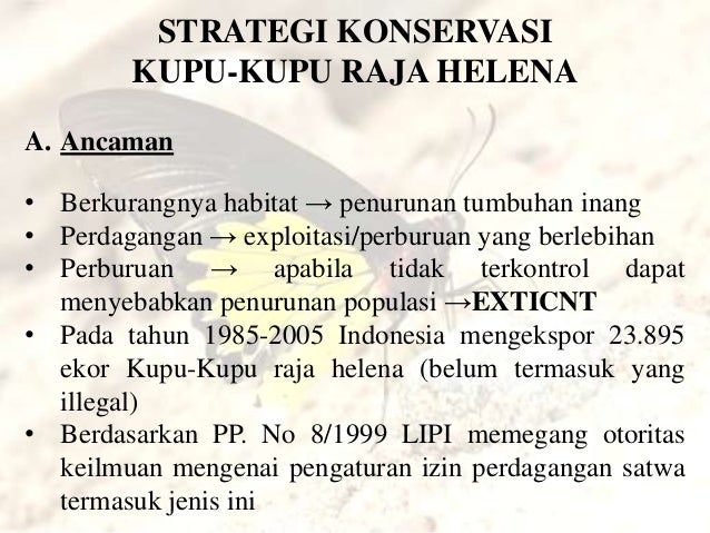 Perdagangan opsi kupu-kupu