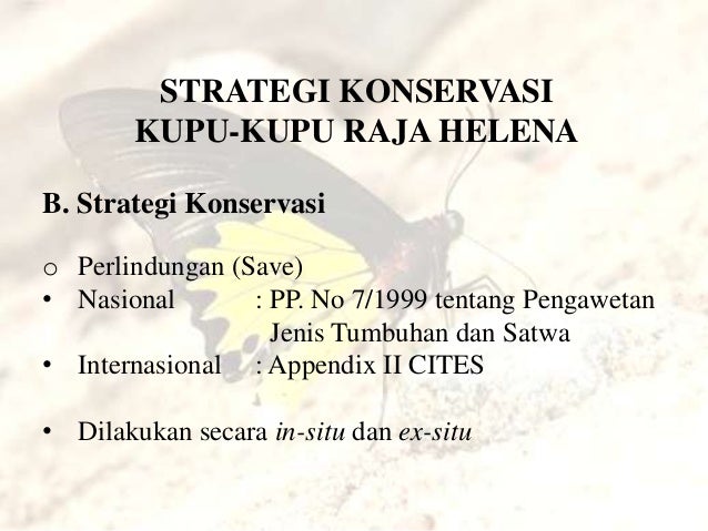 Jenis strategi perdagangan