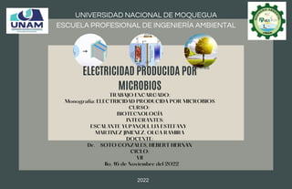ELECTRICIDAD PRODUCIDA POR
MICROBIOS
2022
Aretes
UNIVERSIDAD NACIONAL DE MOQUEGUA
ESCUELA PROFESIONAL DE INGENIERÍA AMBIENTAL
TRABAJO ENCARGADO:
Monografía: ELECTRICIDAD PRODUCIDA POR MICROBIOS
CURSO:
BIOTECNOLOGÍA
INTEGRANTES:
ESCALANTE YUPANQUI, LIA ESTEFANY
MARTINEZ JIMENEZ, OLGA RAMIRA
DOCENTE:
Dr. SOTO GONZALES, HEBERT HERNAN
CICLO:
VII
Ilo, 16 de Noviembre del 2022
 