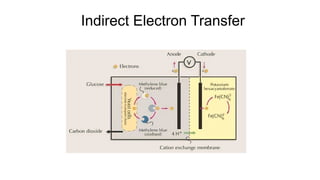 Indirect Electron Transfer
 