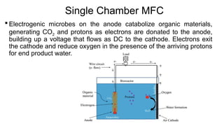 Single Chamber MFC
 Electrogenic microbes on the anode catabolize organic materials,
generating CO2 and protons as electrons are donated to the anode,
building up a voltage that flows as DC to the cathode. Electrons exit
the cathode and reduce oxygen in the presence of the arriving protons
for end product water.
 