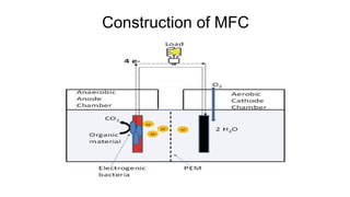 Construction of MFC
 