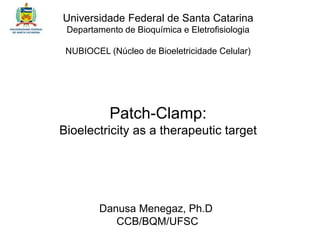 Danusa Menegaz, Ph.D
CCB/BQM/UFSC
Patch-Clamp:
Bioelectricity as a therapeutic target
Universidade Federal de Santa Catarina
Departamento de Bioquímica e Eletrofisiologia
NUBIOCEL (Núcleo de Bioeletricidade Celular)
 