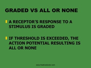 GRADED VS ALL OR NONE  A RECEPTOR’S RESPONSE TO A STIMULUS IS GRADED IF THRESHOLD IS EXCEEDED, THE ACTION POTENTIAL RESULTING IS ALL OR NONE www.freelivedoctor.com 