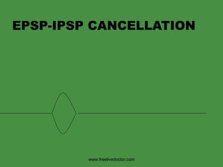 EPSP-IPSP CANCELLATION www.freelivedoctor.com 