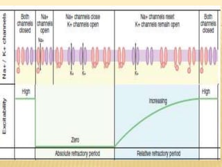 Bioelectric potential | PPTX