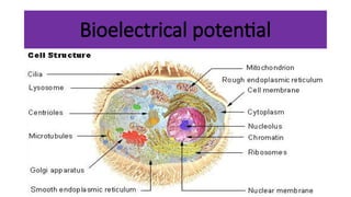 Bioelectricpotentials.pptx Physiology for MBBS/MD | PPTX