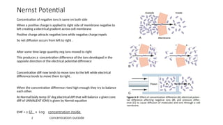 Bioelectricpotentials.pptx Physiology for MBBS/MD | PPTX