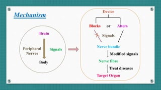 Mechanism
Brain
Signals
Body
Device
Blocks or Alters
Signals
Nerve bundle
Modified signals
Nerve fibre
Treat diseases
Target Organ
Peripheral
Nerves
 