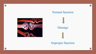 Normal function
Damage
Improper function
 