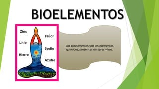 Los bioelementos son los elementos
químicos, presentes en seres vivos.
 