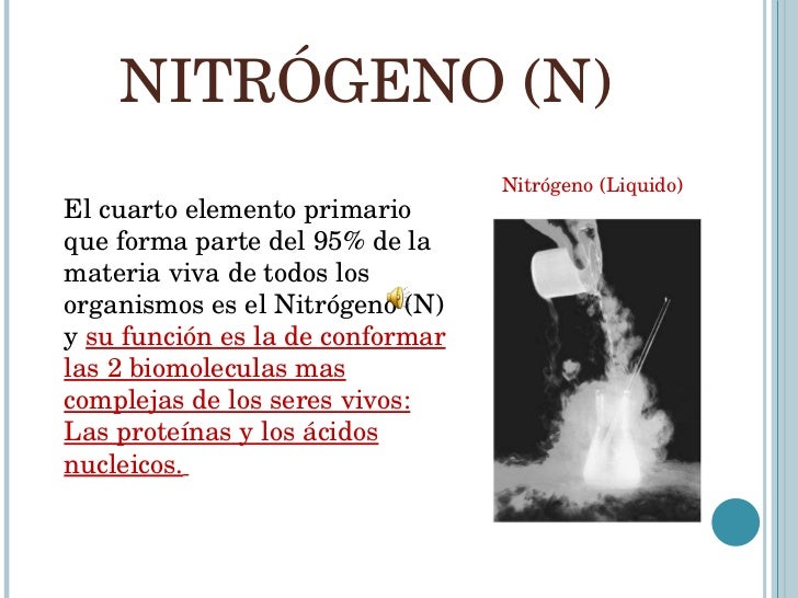Bioelementos y biomoleculas