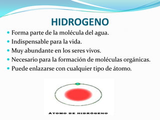 HIDROGENO
 Forma parte de la molécula del agua.

 Indispensable para la vida.
 Muy abundante en los seres vivos.
 Necesario para la formación de moléculas orgánicas.

 Puede enlazarse con cualquier tipo de átomo.

 