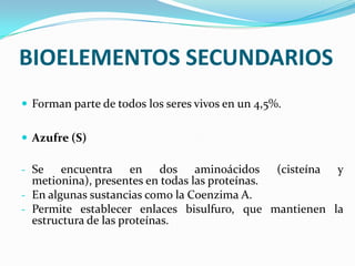 BIOELEMENTOS SECUNDARIOS
 Forman parte de todos los seres vivos en un 4,5%.
 Azufre (S)

- Se

encuentra en dos aminoácidos (cisteína y
metionina), presentes en todas las proteínas.
- En algunas sustancias como la Coenzima A.
- Permite establecer enlaces bisulfuro, que mantienen la
estructura de las proteínas.

 