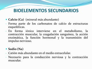 BIOELEMENTOS SECUNDARIOS
 Calcio (Ca) (mineral más abundante)
- Forma parte de los carbonatos de calcio de estructuras

esqueléticas.
- En forma iónica interviene en el metabolismo, la
contracción muscular, la coagulación sanguínea, la acción
enzimática, la función hormonal y la transmisión del
impulso nervioso.
 Sodio (Na)
- Catión más abundante en el medio extracelular.
- Necesario para la conducción nerviosa y la contracción

muscular.

 