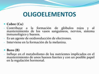 OLIGOELEMENTOS
 Cobre (Cu)
- Contribuye a

la formación de glóbulos rojos y al
mantenimiento de los vasos sanguíneos, nervios, sistema
inmunológico y huesos.
- Es un agente de oxidoreducción de electrones.
- Interviene en la formación de la melanina.
 Boro (B)
- Influye en el metabolismo de los nutrientes implicados en el

mantenimiento de unos huesos fuertes y con un posible papel
en la regulación hormonal.

 