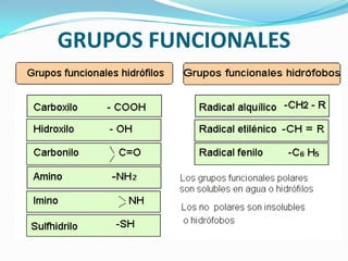 GRUPOS FUNCIONALES

 