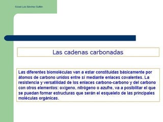 ©José Luis Sánchez Guillén
 