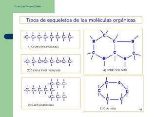 ©José Luis Sánchez Guillén
 