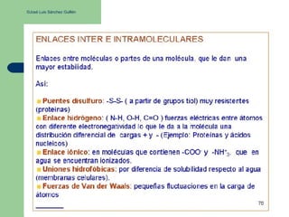 ©José Luis Sánchez Guillén
 