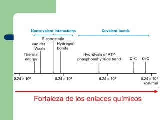 Fortaleza de los enlaces químicos
 