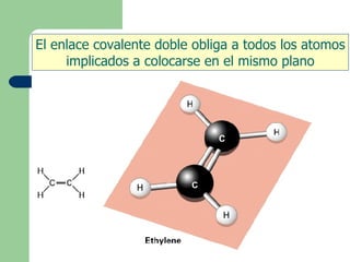 El enlace covalente doble obliga a todos los atomos
implicados a colocarse en el mismo plano
 