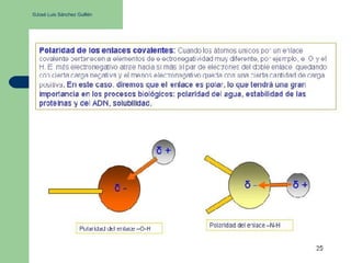 ©José Luis Sánchez Guillén
 