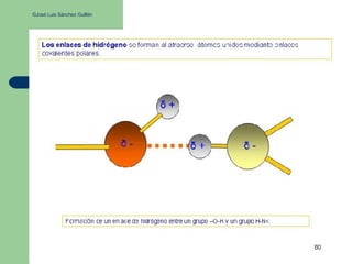 ©José Luis Sánchez Guillén
 