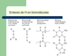 Enlaces de H en biomoléculas
 