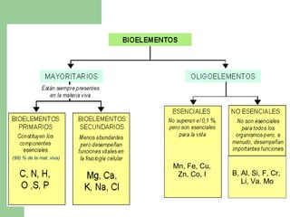 Mn, Fe, Cu,
Zn, Co, I B, Al, Si, F, Cr,
Li, Va. Mo
(99) % de la mat. viva)
 