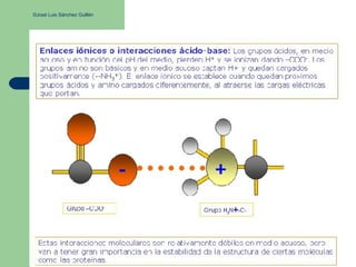 ©José Luis Sánchez Guillén
 