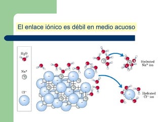 El enlace iónico es débil en medio acuoso
 