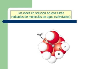Los iones en solucion acuosa están
rodeados de moleculas de agua (solvatados)
 