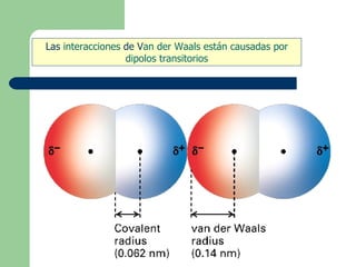 Las interacciones de Van der Waals están causadas por
dipolos transitorios
 