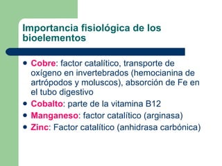 Importancia fisiológica de los
bioelementos
 Cobre: factor catalítico, transporte de
oxígeno en invertebrados (hemocianina de
artrópodos y moluscos), absorción de Fe en
el tubo digestivo
 Cobalto: parte de la vitamina B12
 Manganeso: factor catalítico (arginasa)
 Zinc: Factor catalítico (anhidrasa carbónica)
 