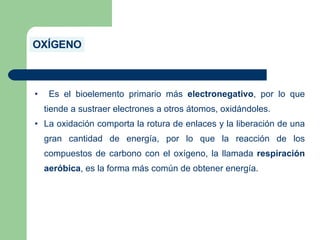 OXÍGENO
• Es el bioelemento primario más electronegativo, por lo que
tiende a sustraer electrones a otros átomos, oxidándoles.
• La oxidación comporta la rotura de enlaces y la liberación de una
gran cantidad de energía, por lo que la reacción de los
compuestos de carbono con el oxígeno, la llamada respiración
aeróbica, es la forma más común de obtener energía.
 