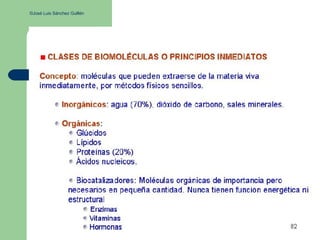 ©José Luis Sánchez Guillén
 