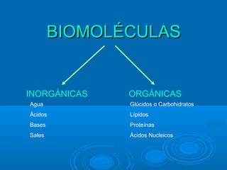 BIOMOLÉCULAS


INORGÁNICAS    ORGÁNICAS
Agua           Glúcidos o Carbohidratos
Ácidos         Lípidos
Bases          Proteínas
Sales          Ácidos Nucleicos
 