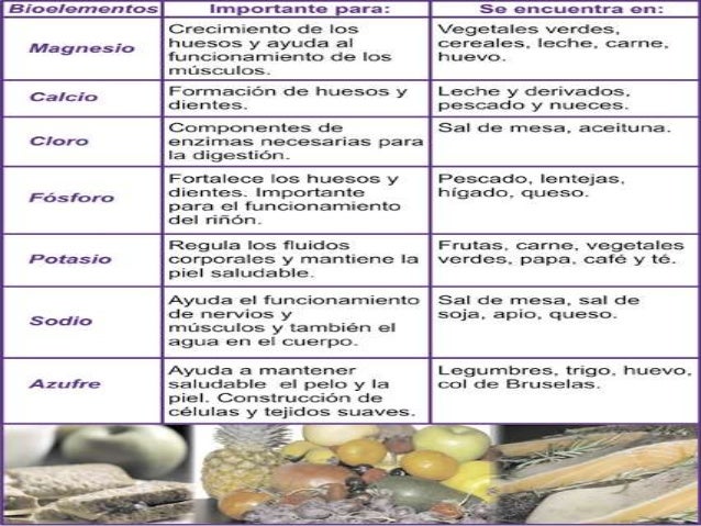 Bioelementos