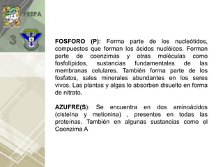 FOSFORO (P): Forma parte de los nucleótidos,
compuestos que forman los ácidos nucléicos. Forman
parte de coenzimas y otras moléculas como
fosfolípidos, sustancias fundamentales de las
membranas celulares. También forma parte de los
fosfatos, sales minerales abundantes en los seres
vivos. Las plantas y algas lo absorben disuelto en forma
de nitrato.
AZUFRE(S): Se encuentra en dos aminoácidos
(cisteína y metionina) , presentes en todas las
proteínas. También en algunas sustancias como el
Coenzima A
 