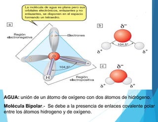 AGUA: unión de un átomo de oxígeno con dos átomos de hidrógeno.
Molécula Bipolar.- Se debe a la presencia de enlaces covalente polar
entre los átomos hidrogeno y de oxígeno.
 