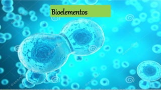 Bioelementos
 