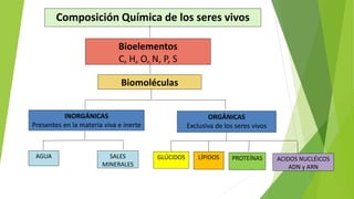 Chonps Bioelementos Bioelementos.pptx