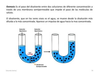 Osmosis Es el paso del disolvente entre dos soluciones de diferente concentración a
través de una membrana semipermeable q...
