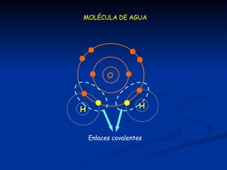 O
H H
Enlaces covalentes
MOLÉCULA DE AGUA
 