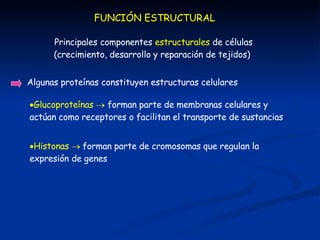 FUNCIÓN ESTRUCTURAL
Principales componentes estructurales de células
(crecimiento, desarrollo y reparación de tejidos)
Alg...