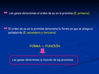 Los genes determinan el orden de aa en la proteína  (E. primaria) El orden de aa en la proteína determina la forma en que se pliega el polipéptido  (E. secundaria y terciaria) FORMA    FUNCIÓN Los genes determinan la función de las proteínas 
